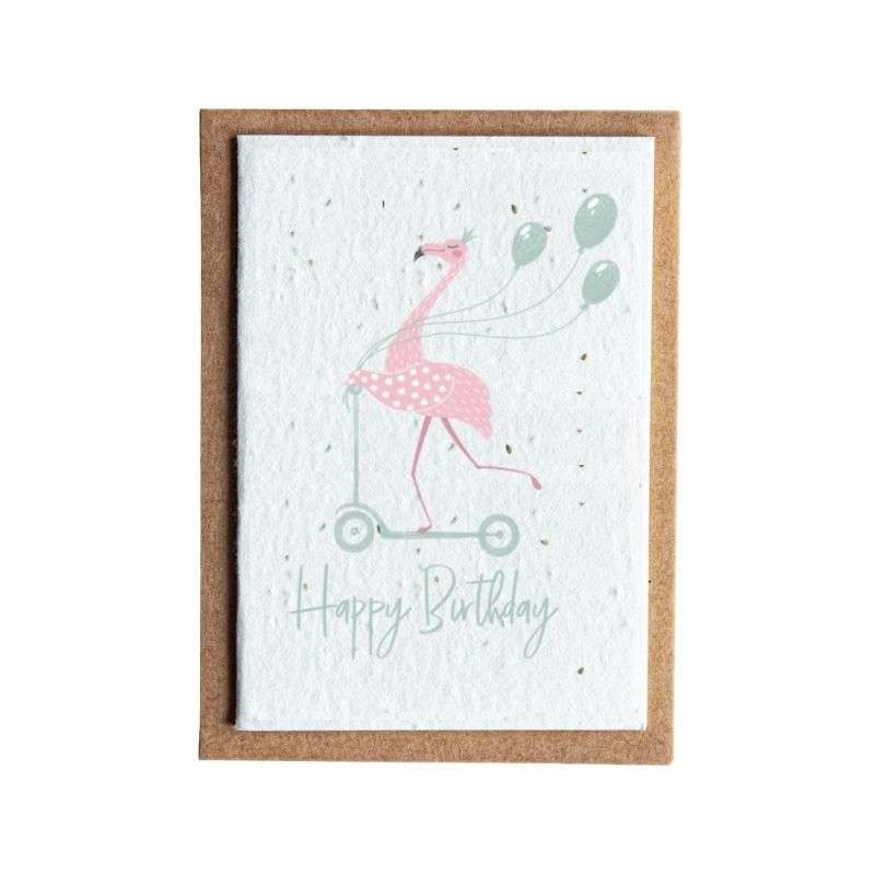 flamingo scooter seed card