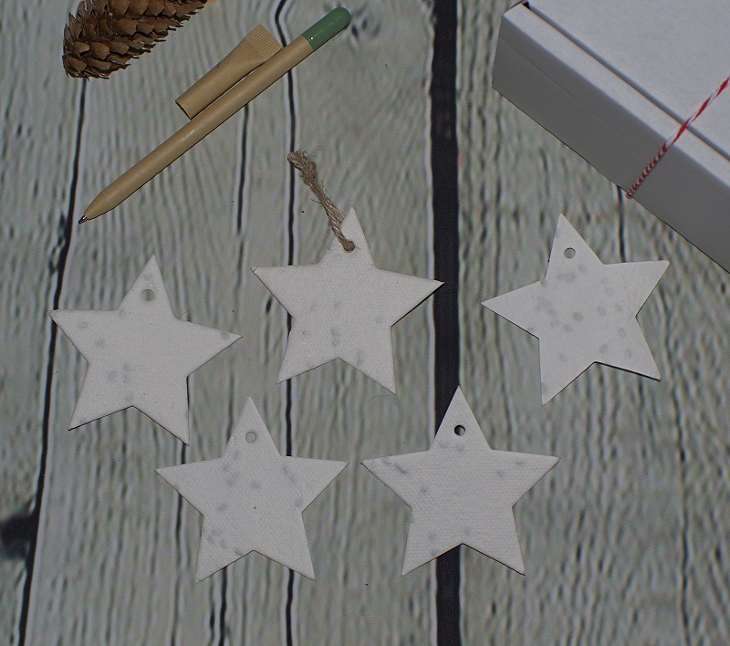 Star shaped gift tags
